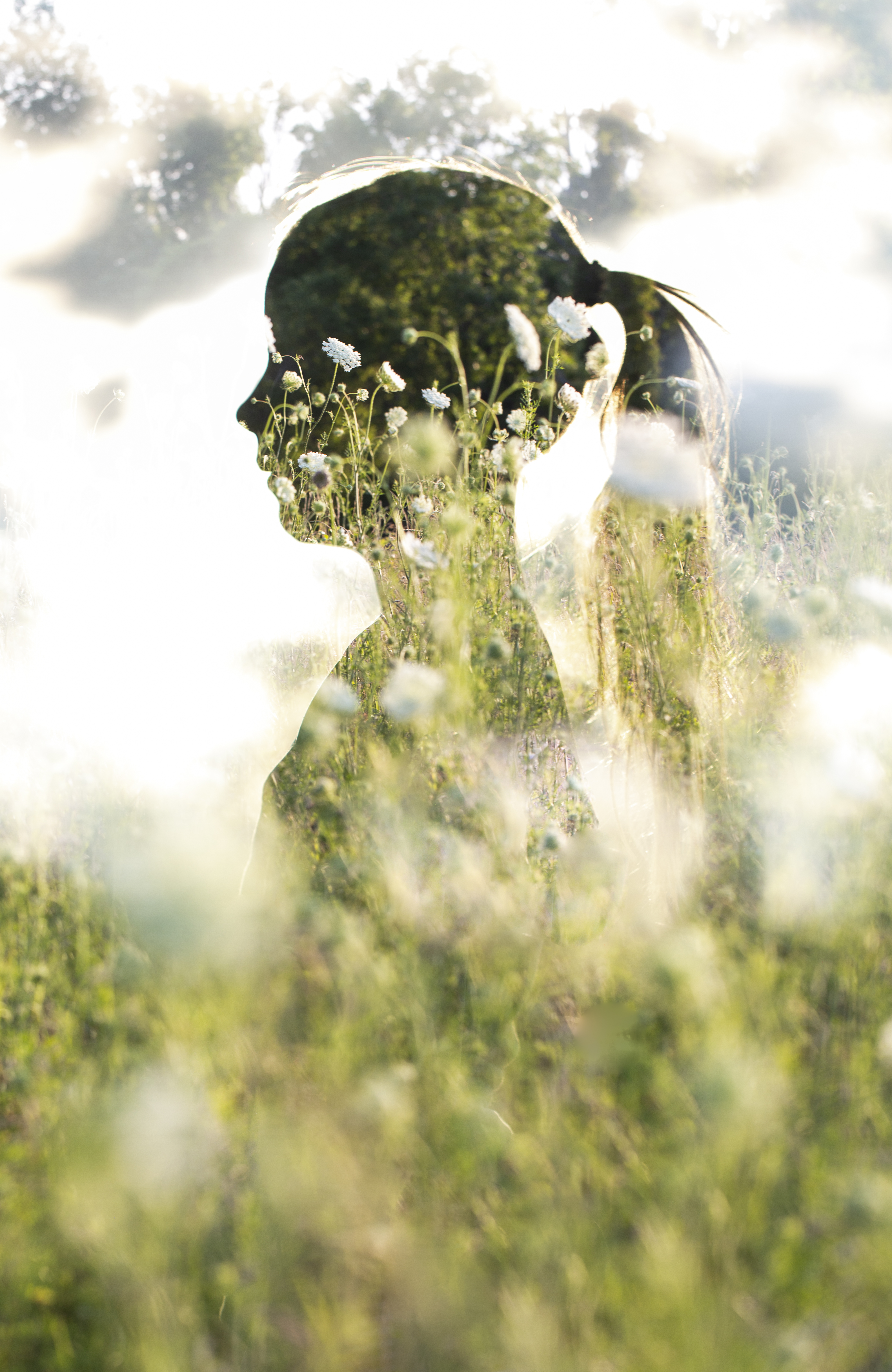 00 Summer walk 23